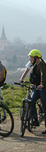 Alsace wine tour Bike