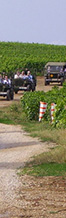 Burgundy wine tour Rally