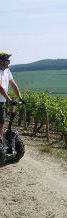 French wine business tour segway