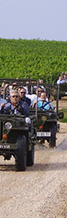 Wine tour in France Rally